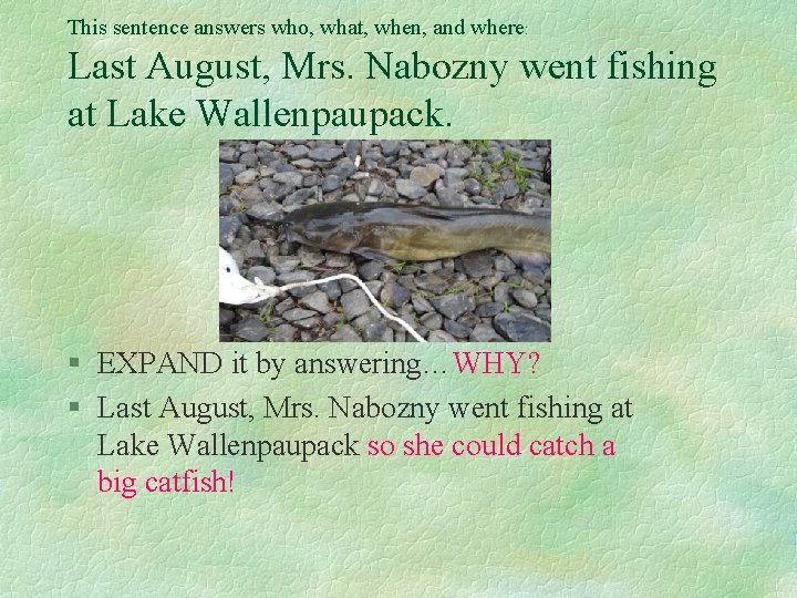 This sentence answers who, what, when, and where: Last August, Mrs. Nabozny went fishing