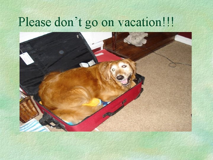 Please don’t go on vacation!!! 