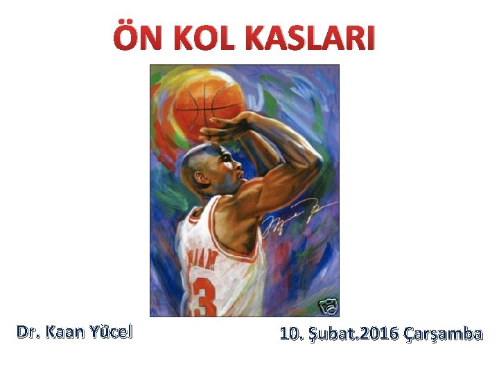 ÖN KOL KASLARI Dr. Kaan Yücel 10. Şubat. 2016 Çarşamba 