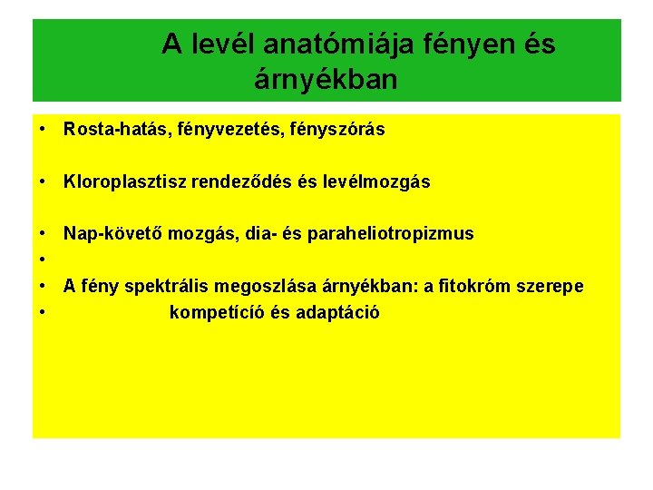 A levél anatómiája fényen és árnyékban • Rosta-hatás, fényvezetés, fényszórás • Kloroplasztisz rendeződés és