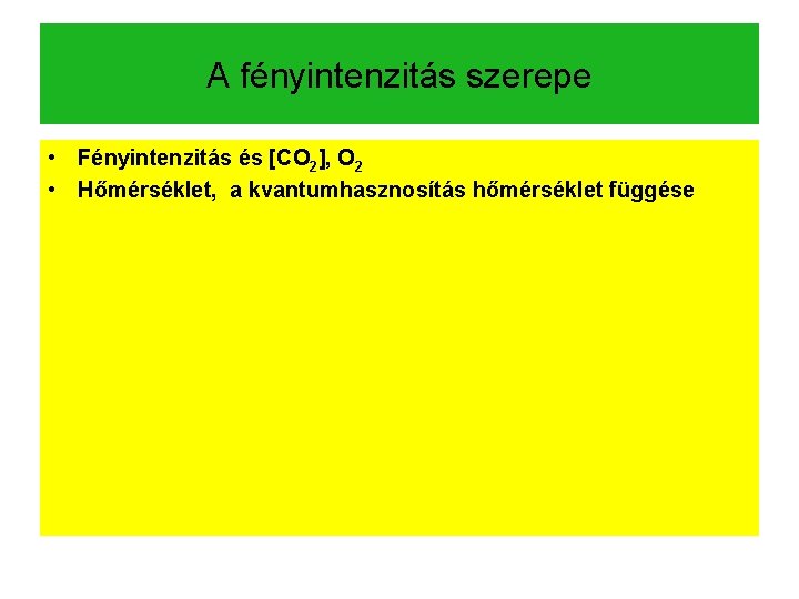 A fényintenzitás szerepe • Fényintenzitás és [CO 2], O 2 • Hőmérséklet, a kvantumhasznosítás