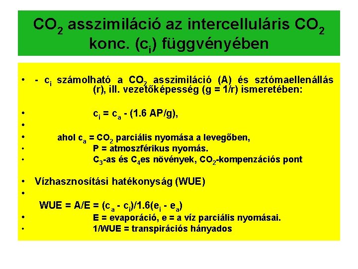 CO 2 asszimiláció az intercelluláris CO 2 konc. (ci) függvényében • - ci számolható