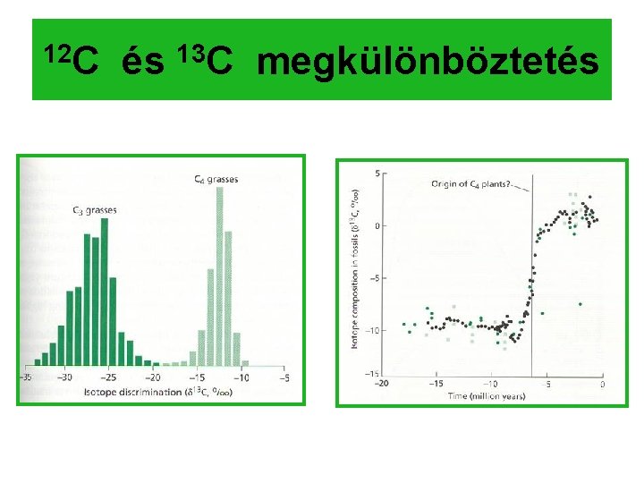 12 C és 13 C megkülönböztetés 