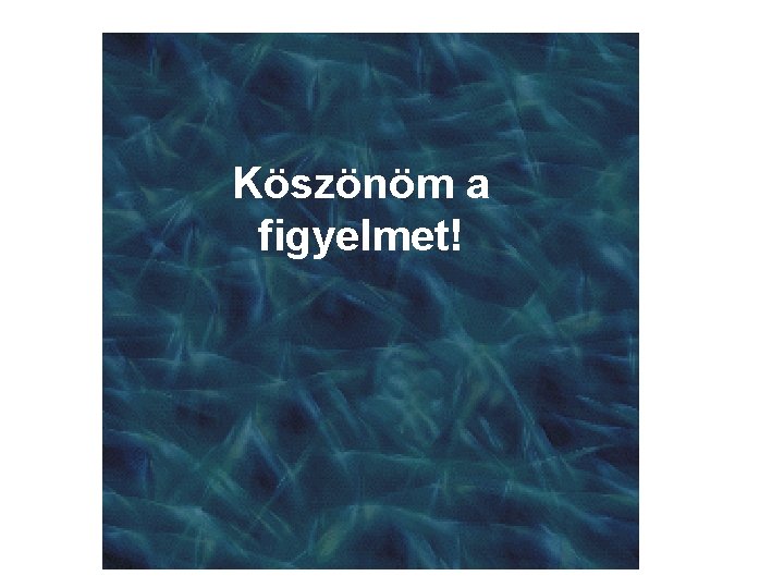 Köszönöm a figyelmet! 