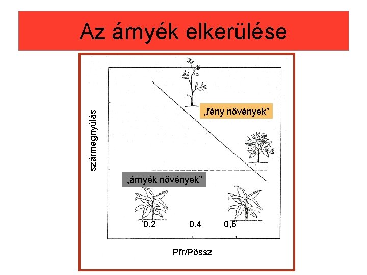Az árnyék elkerülése szármegnyúlás „fény növények” „árnyék növények” 0, 2 0, 4 Pfr/Pössz 0, Az árnyék elkerülése szármegnyúlás „fény növények” „árnyék növények” 0, 2 0, 4 Pfr/Pössz 0,