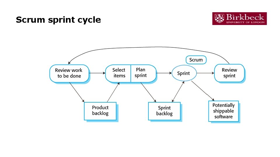 Scrum sprint cycle 