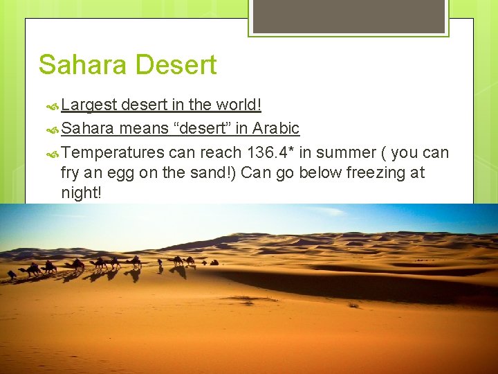 Sahara Desert Largest desert in the world! Sahara means “desert” in Arabic Temperatures can