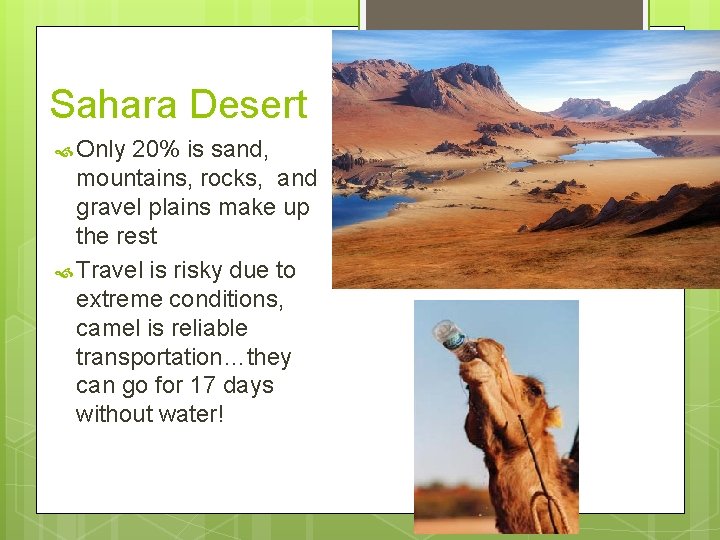 Sahara Desert Only 20% is sand, mountains, rocks, and gravel plains make up the