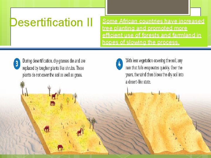 Desertification II Some African countries have increased tree planting and promoted more efficient use