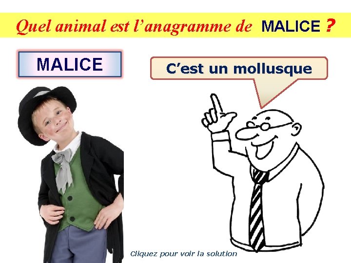 Quel animal est l’anagramme de MALICE ? MALICE C’est un mollusque Cliquez pour voir