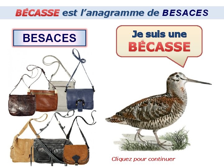 BÉCASSE est l’anagramme de BESACES Je suis une BÉCASSE Cliquez pour continuer 