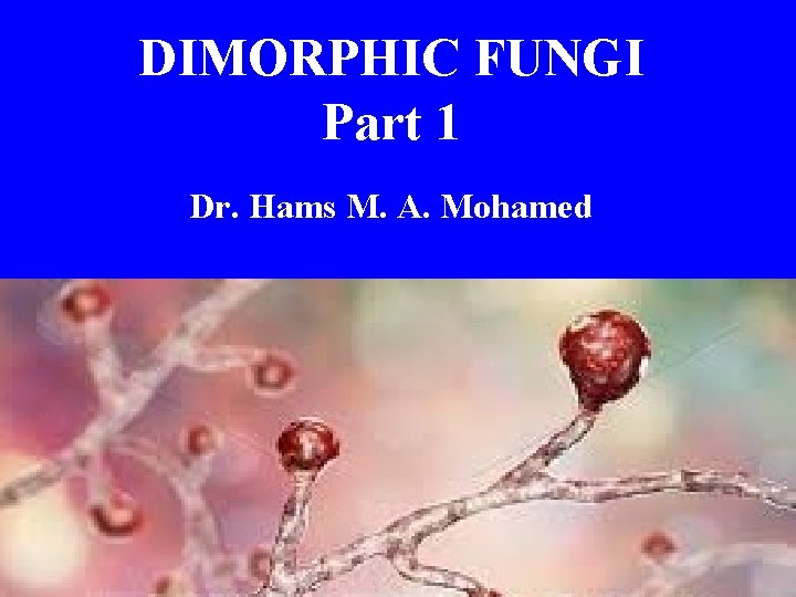 DIMORPHIC FUNGI Part 1 Dr. Hams M. A. Mohamed 