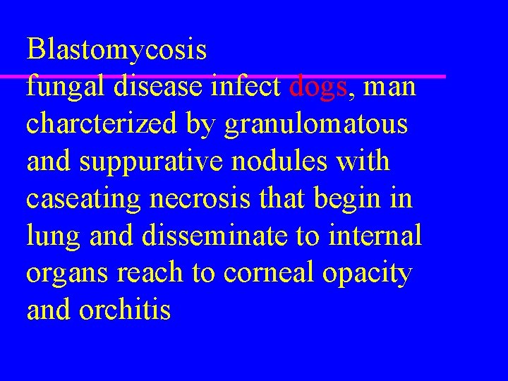 Blastomycosis fungal disease infect dogs, man charcterized by granulomatous and suppurative nodules with caseating