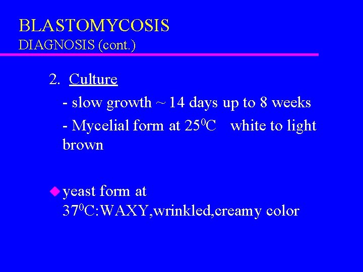 BLASTOMYCOSIS DIAGNOSIS (cont. ) 2. Culture - slow growth ~ 14 days up to