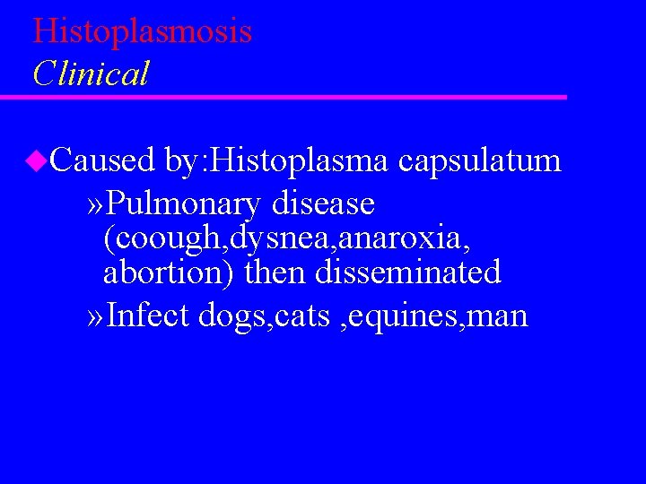 Histoplasmosis Clinical u. Caused by: Histoplasma capsulatum » Pulmonary disease (coough, dysnea, anaroxia, abortion)