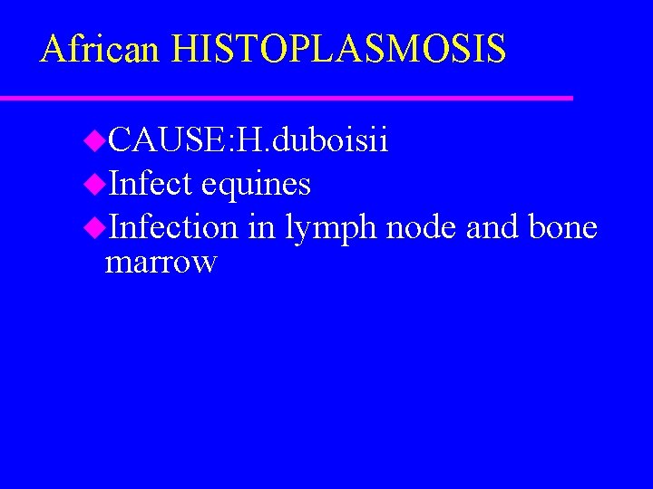 African HISTOPLASMOSIS u. CAUSE: H. duboisii u. Infect equines u. Infection in lymph node