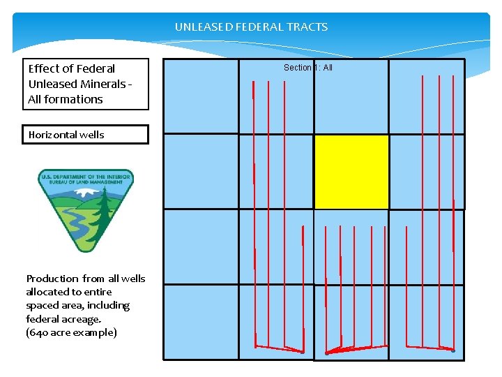 UNLEASED FEDERAL TRACTS Effect of Federal Unleased Minerals All formations Horizontal wells Production from