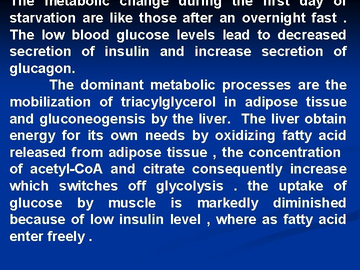 The metabolic change during the first day of starvation are like those after an