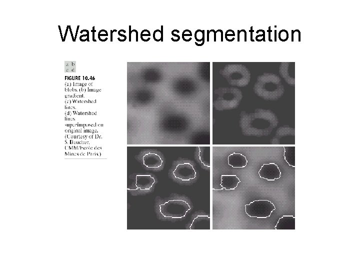 Watershed segmentation 