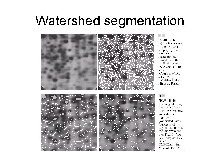 Watershed segmentation 