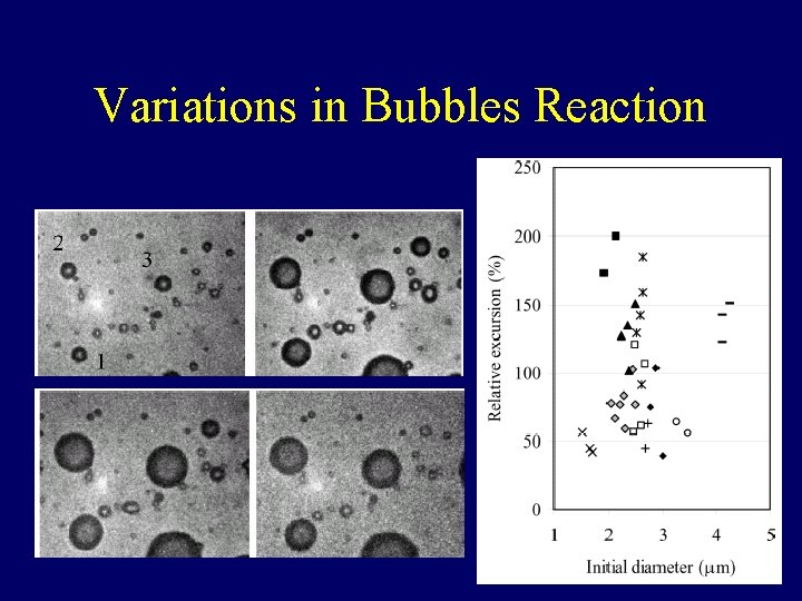 Variations in Bubbles Reaction 