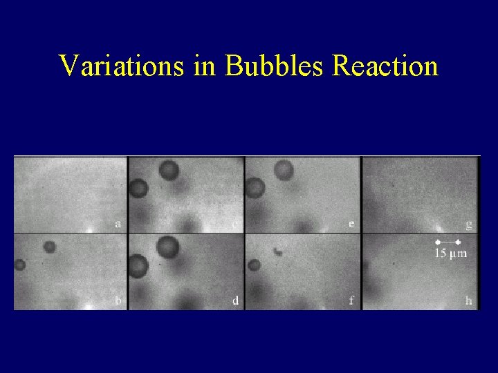 Variations in Bubbles Reaction 