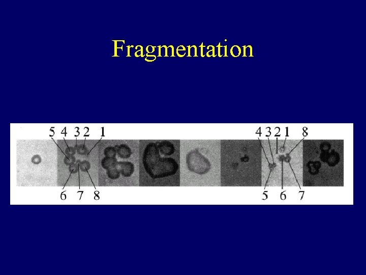 Fragmentation 