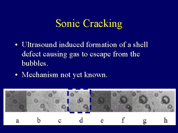 Sonic Cracking • Ultrasound induced formation of a shell defect causing gas to escape