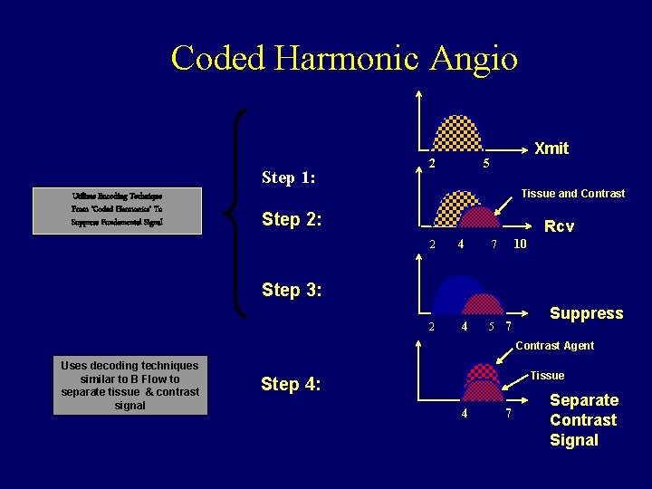 Coded Harmonic Angio Step 1: Utilizes Encoding Technique From ‘Coded Harmonics’ To Suppress Fundamental