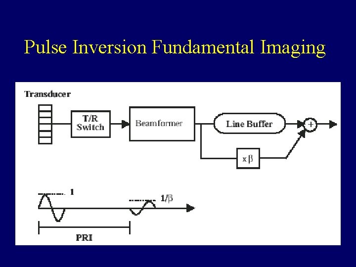 Pulse Inversion Fundamental Imaging 