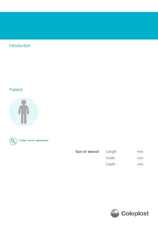 Introduction Patient Initial wound assessment Size of wound Length mm Width mm Depth mm