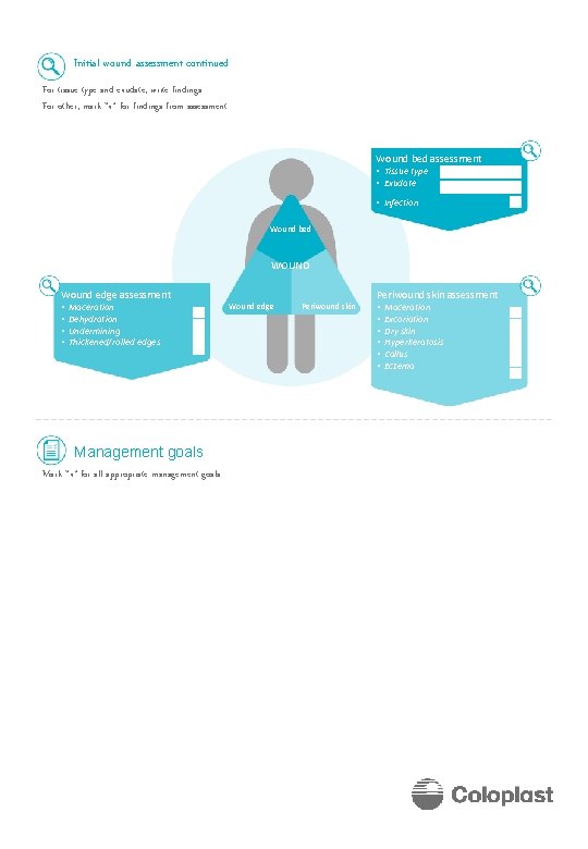 Initial wound assessment continued For tissue type and exudate, write findings For other, mark