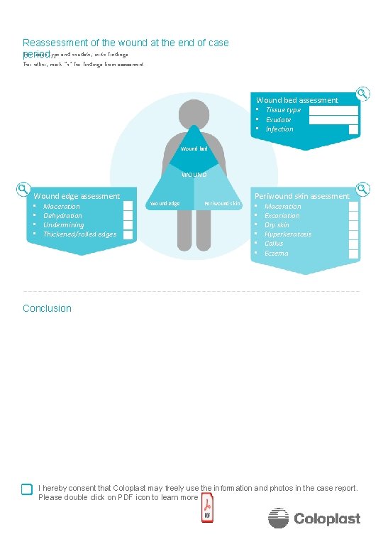 Reassessment of the wound at the end of case For tissue type and exudate,