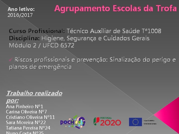 Ano letivo: 2016/2017 Agrupamento Escolas da Trofa Curso Profissional: Técnico Auxiliar de Saúde Tª