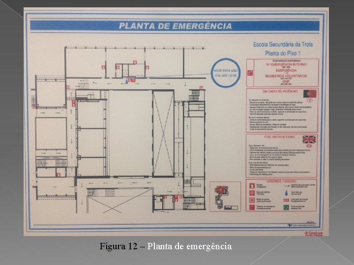 Figura 12 – Planta de emergência 