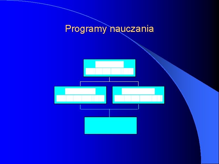 Programy nauczania 