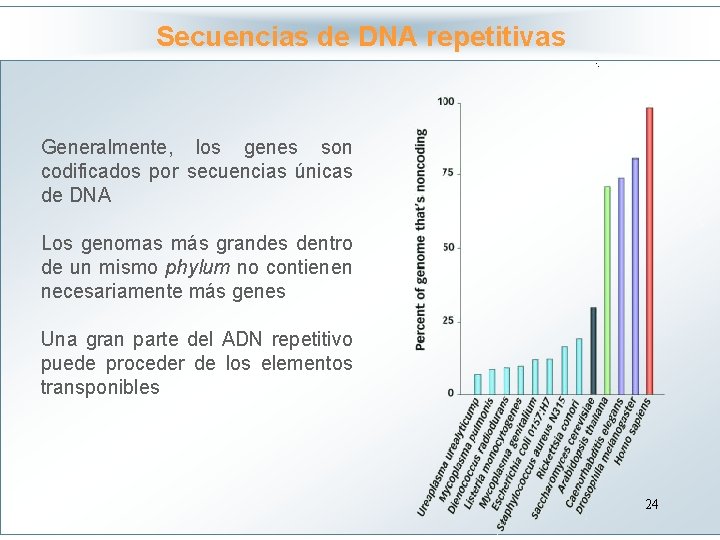 Secuencias de DNA repetitivas Haga clic para modificar el estilo de título del patrón