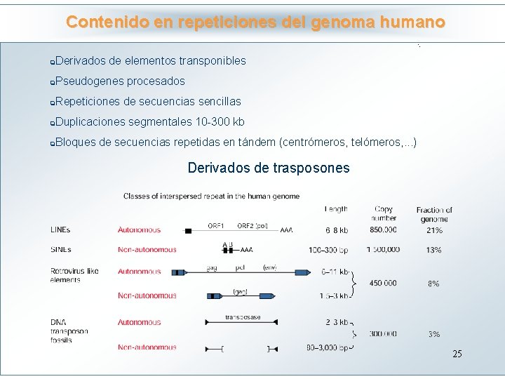 Contenido en repeticiones del genoma humano Haga clic para modificar el estilo de título