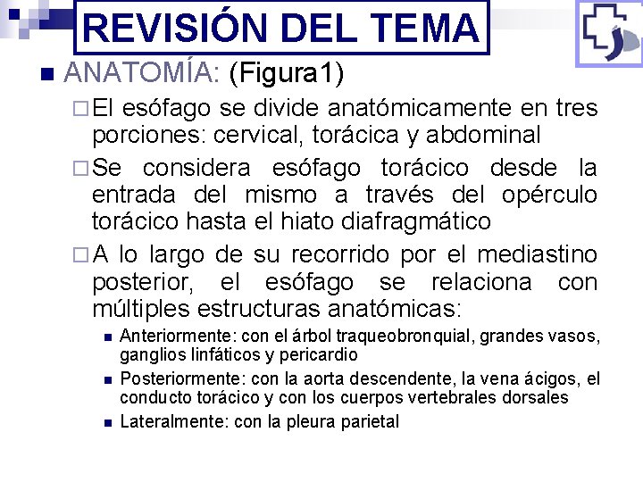 REVISIÓN DEL TEMA n ANATOMÍA: (Figura 1) ¨ El esófago se divide anatómicamente en