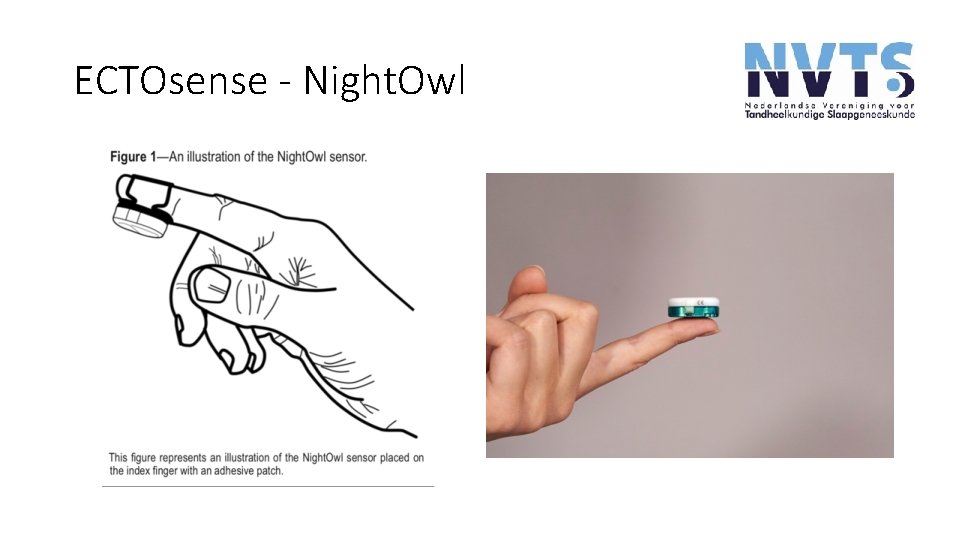 ECTOsense - Night. Owl ECTOsense - Night. Owl