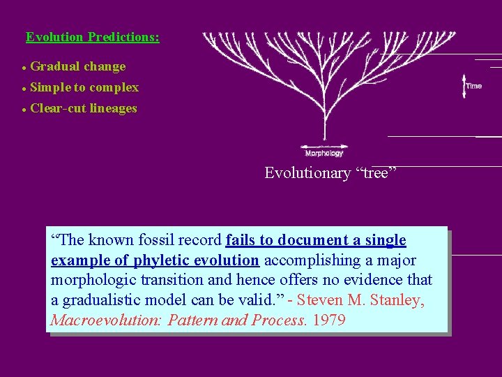 Evolution Predictions: l Gradual change l Simple to complex l Clear-cut lineages Evolutionary “tree”