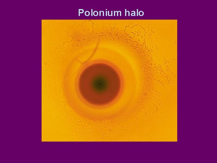 Polonium halo 