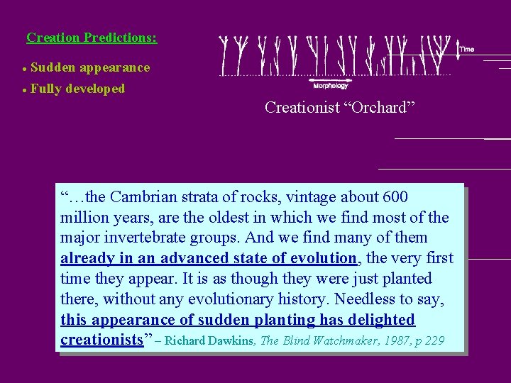 Creation Predictions: Sudden appearance l Fully developed l Creationist “Orchard” “…the Cambrian strata of