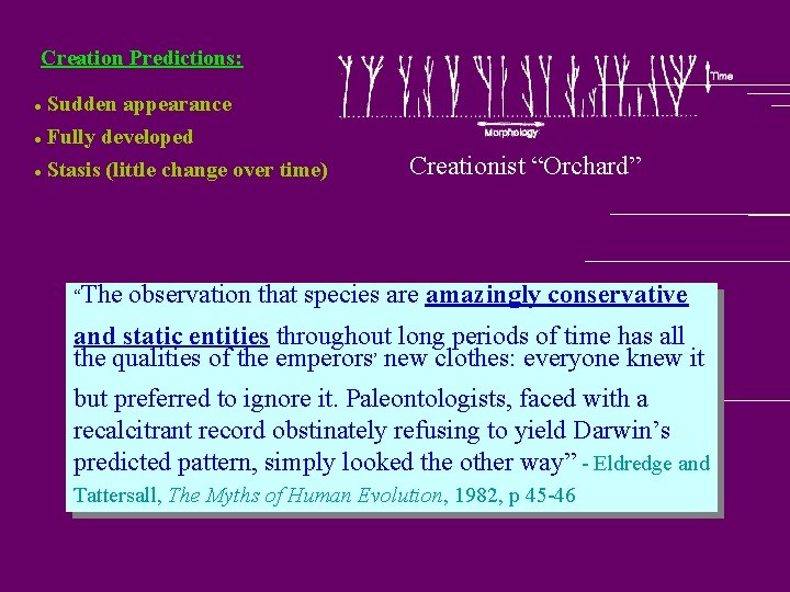 Creation Predictions: Sudden appearance l Fully developed l l Stasis (little change over time)