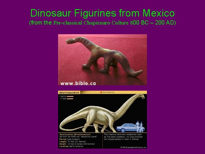 Dinosaur Figurines from Mexico (from the Pre-classical Chupicuaro Culture 800 BC – 200 AD)