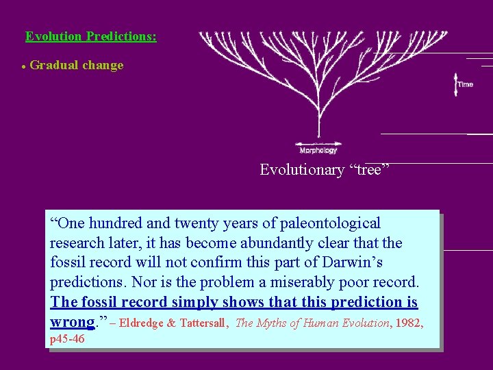 Evolution Predictions: l Gradual change Evolutionary “tree” “One hundred and twenty years of paleontological