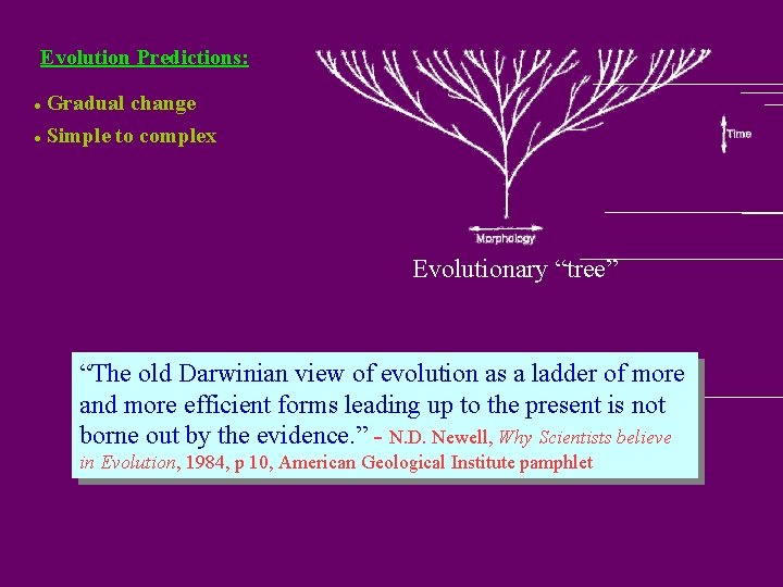 Evolution Predictions: l Gradual change l Simple to complex Evolutionary “tree” “The old Darwinian