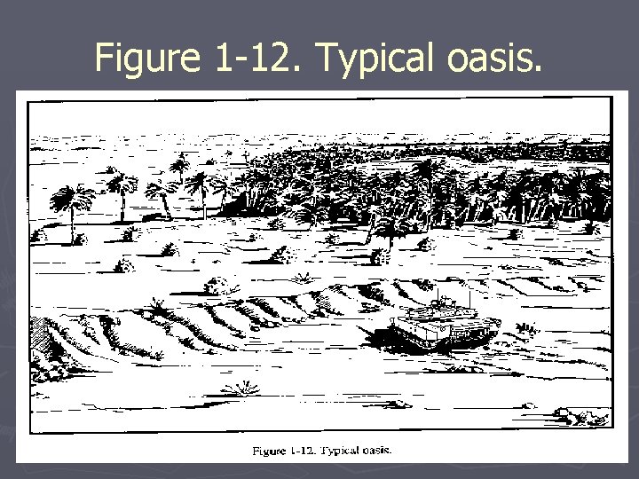 Figure 1 -12. Typical oasis. Figure 1 -12. Typical oasis.