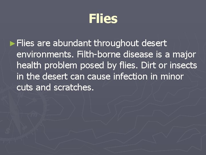 Flies ► Flies are abundant throughout desert environments. Filth-borne disease is a major health Flies ► Flies are abundant throughout desert environments. Filth-borne disease is a major health