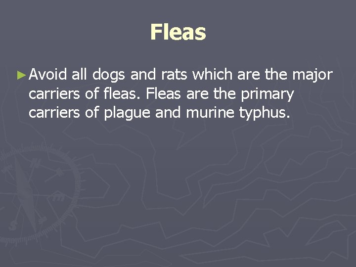 Fleas ► Avoid all dogs and rats which are the major carriers of fleas. Fleas ► Avoid all dogs and rats which are the major carriers of fleas.
